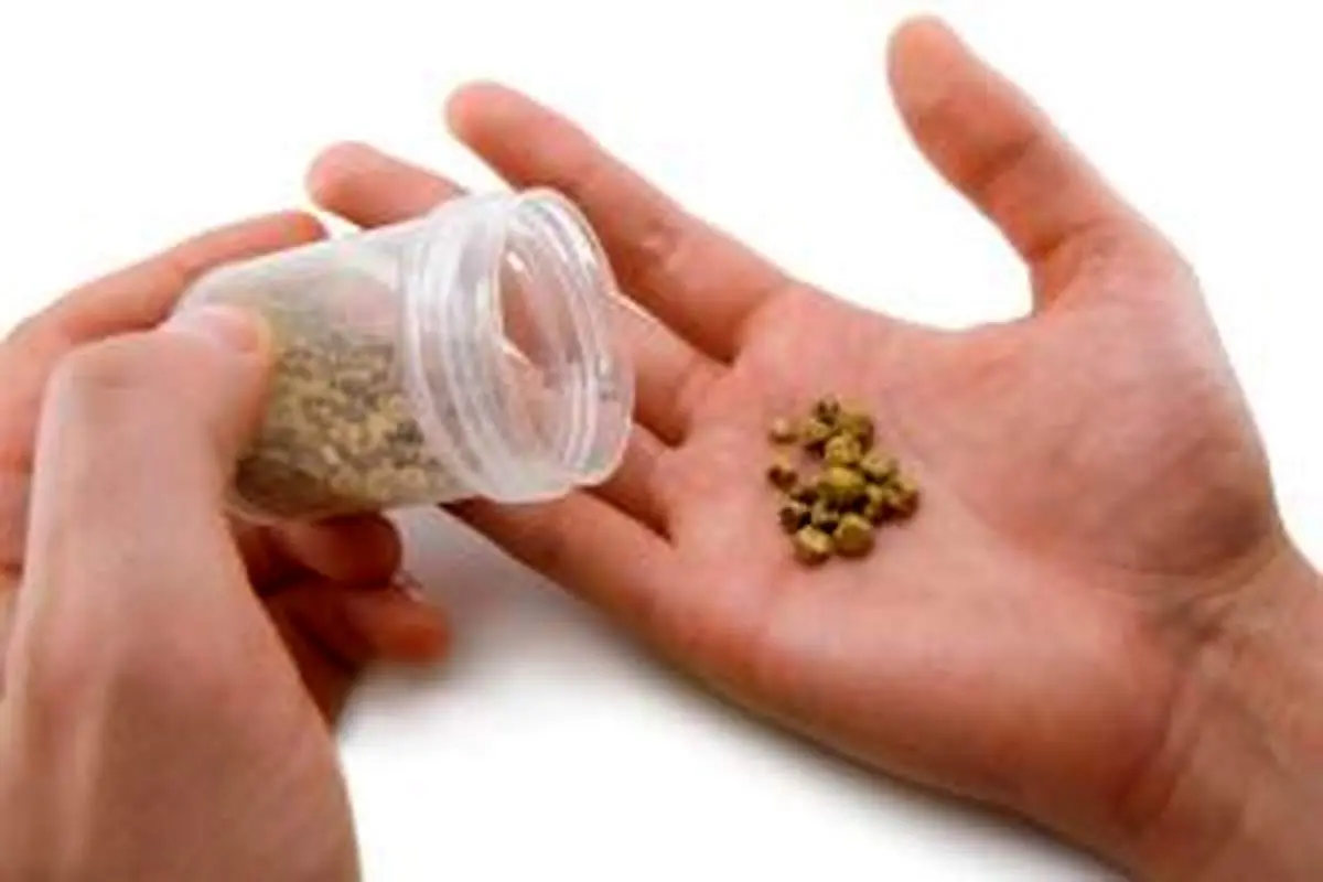 علل پیدایش سنگ مثانه