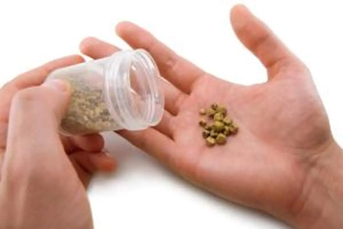 علل پیدایش سنگ مثانه
