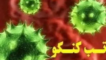 مرگ یک دامدار بر اثر تب کریمه کنگو تایید شد