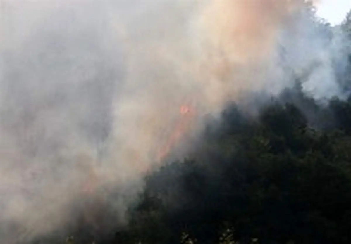 آتش سوزی مجدد در تالاب هورالعظیم