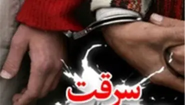 سارق حرفه‌ای به ۸ فقره سرقت اقرار کرد