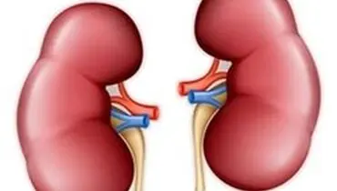 علائم شایع ابتلا به عفونت ادرار