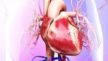 رابطه آلودگی هوا با خطر بزرگ شدن قلب