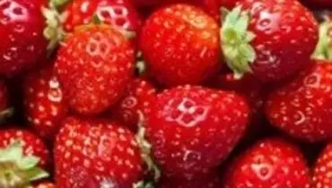 با خواص بی نظیر توت فرنگی آشنا شوید