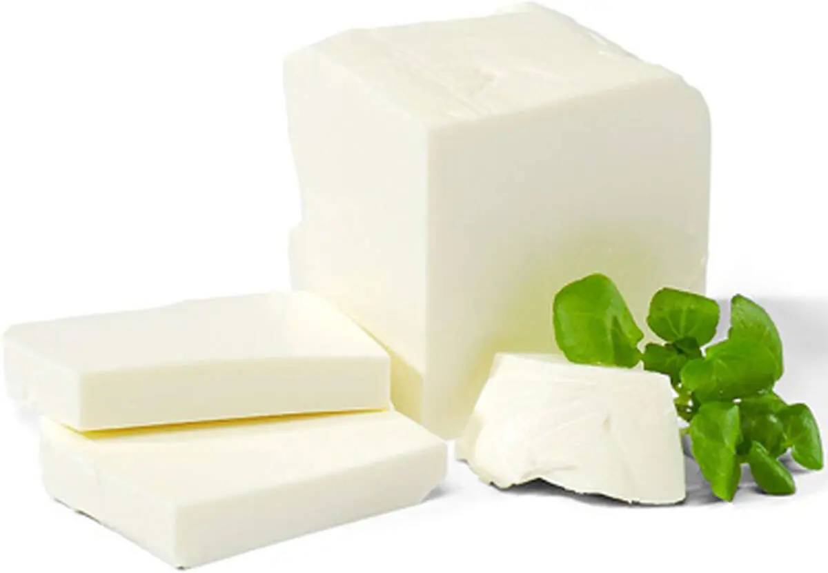 چگونه از پنیر نگهداری کنیم که خراب نشود؟