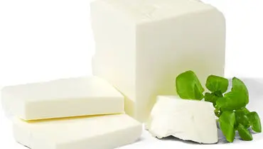 چگونه از پنیر نگهداری کنیم که خراب نشود؟