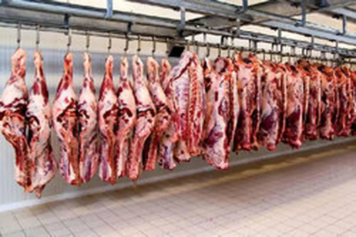 واردات ۱۴۷ میلیون دلار گوشت گاو منجمد