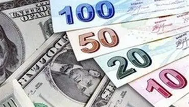 احضار تعداد زیادی از دلالان ارزی