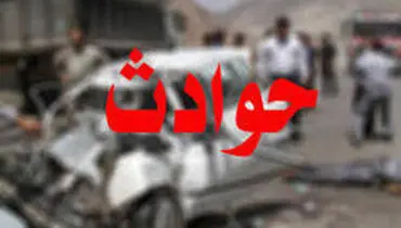 دخترانم از دست شوهرم خودکشی کردند