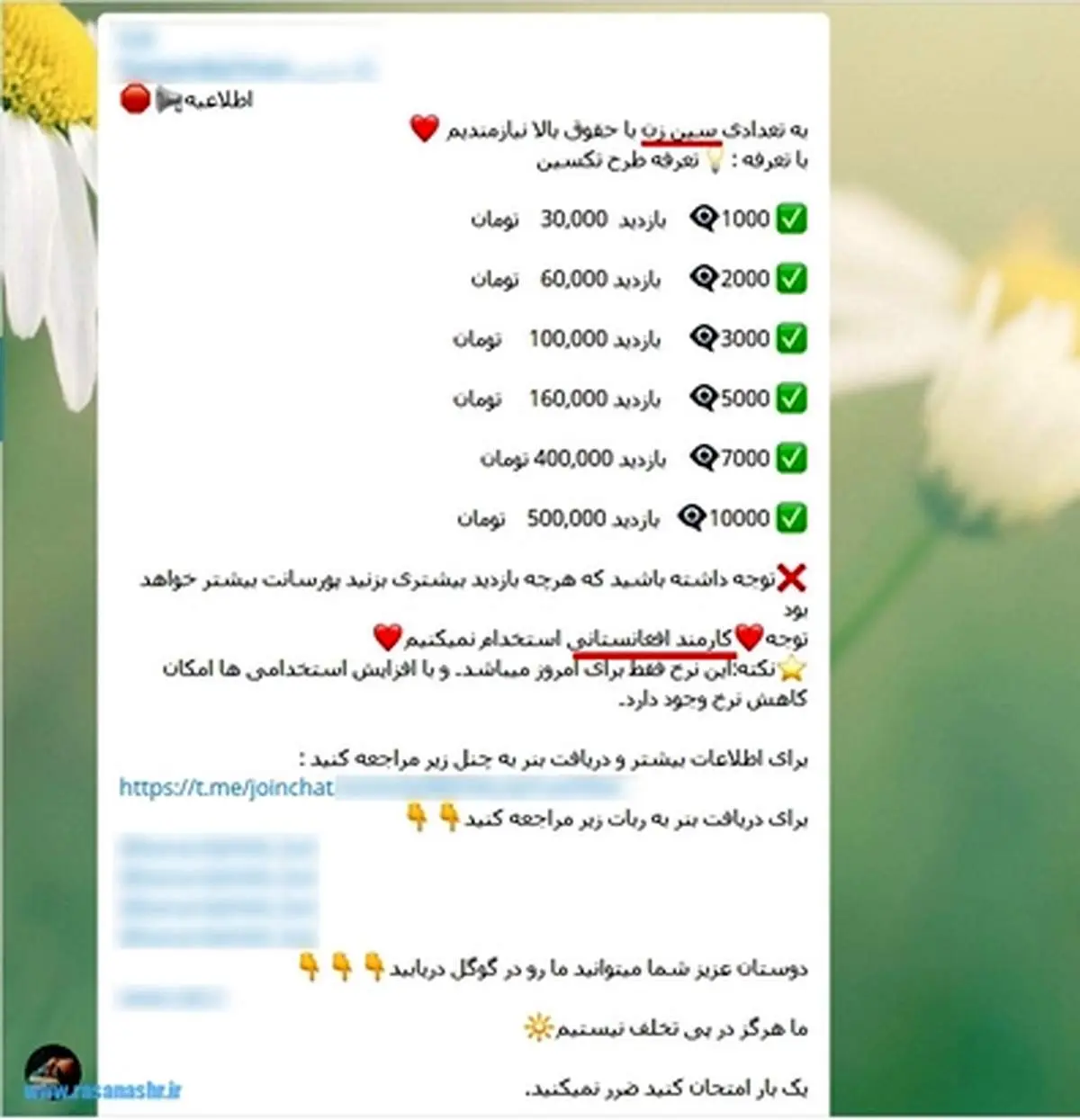 حقوق بالا در فضای مجازی! +عکس