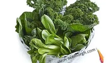 منابع آهن برای گیاه خوارانی که گوشت مصرف نمی کنند