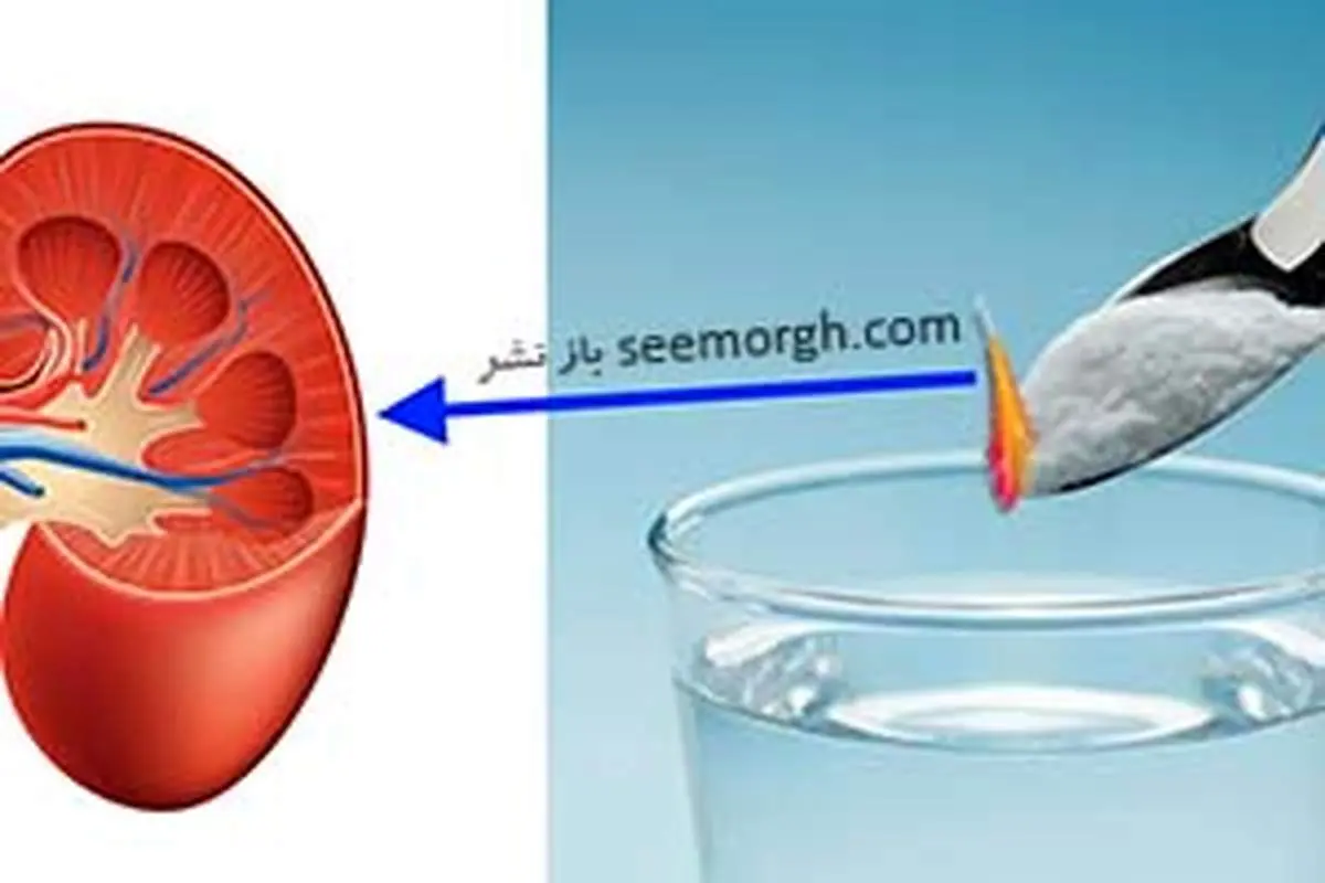 بهترین روش برای بهبود عملکرد کلیه ها