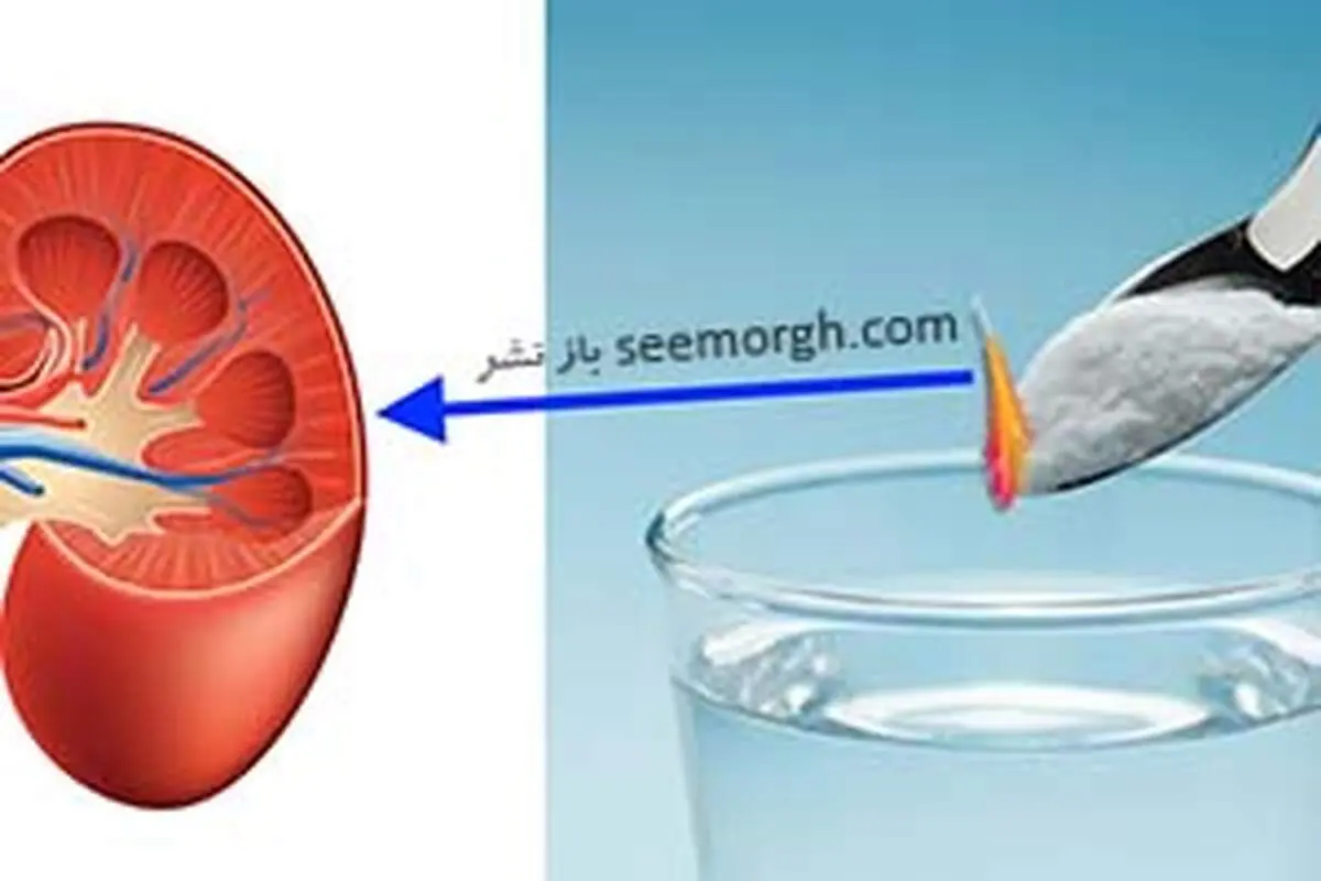 بهترین روش برای بهبود عملکرد کلیه ها