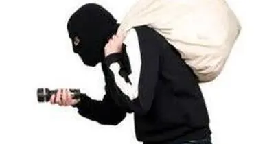 ماجرای دزدی های دختری که دنبال هیجان بود