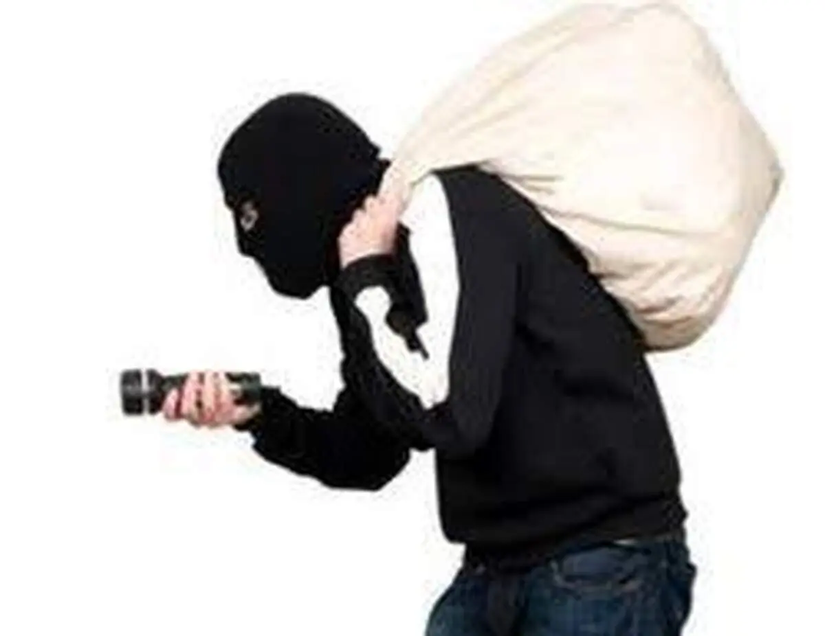 ماجرای دزدی های دختری که دنبال هیجان بود