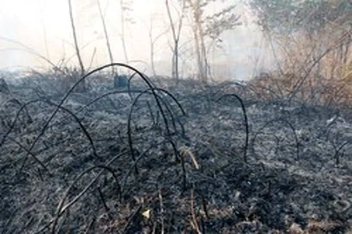 آتش‌سوزی در «آشوراده» همچنان ادامه دارد
