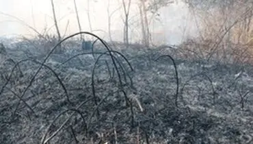 آتش‌سوزی در «آشوراده» همچنان ادامه دارد