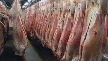 واردات هم به داد قیمت گوشت نرسید