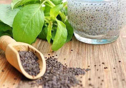  خواص دانه چیا که از آن بی‌خبرید