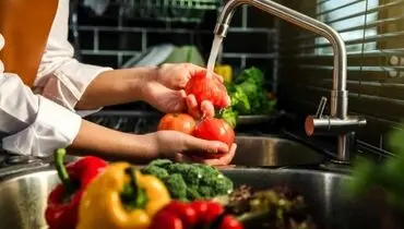 ضدعفونی میوه و سبزیجات: آیا نمک، سرکه و جوش شیرین کافی هستند؟