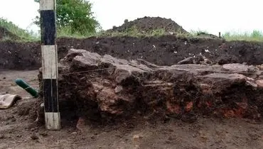 کشف گاو باستانی ۶۰۰۰ ساله در اوکراین + عکس