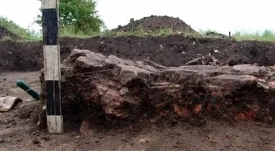 کشف گاو باستانی ۶۰۰۰ ساله در اوکراین + عکس