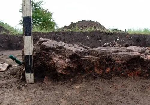 کشف گاو باستانی ۶۰۰۰ ساله در اوکراین + عکس