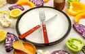 راهنمای تهیه غذا برای مواقع بحرانی؛ چگونه آماده بمانیم؟