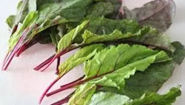  خواص و عوارض برگ چغندر
