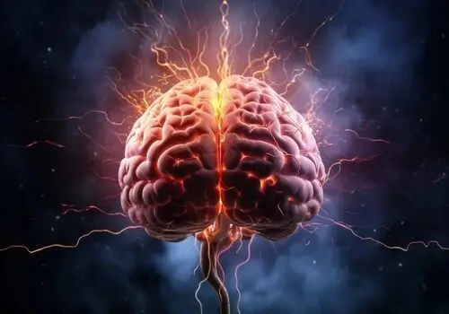 بهبود کیفیت خواب و عملکرد مغز با مصرف این تخمه