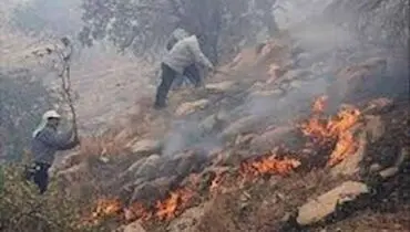 بسیج نیروهای مردمی برای اطفاء آتش سوزی طبیعت ایلام+فیلم