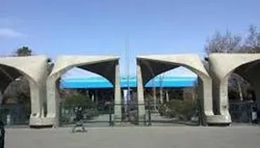 برترین دانشگاه‌های جهان به تفکیک رشته