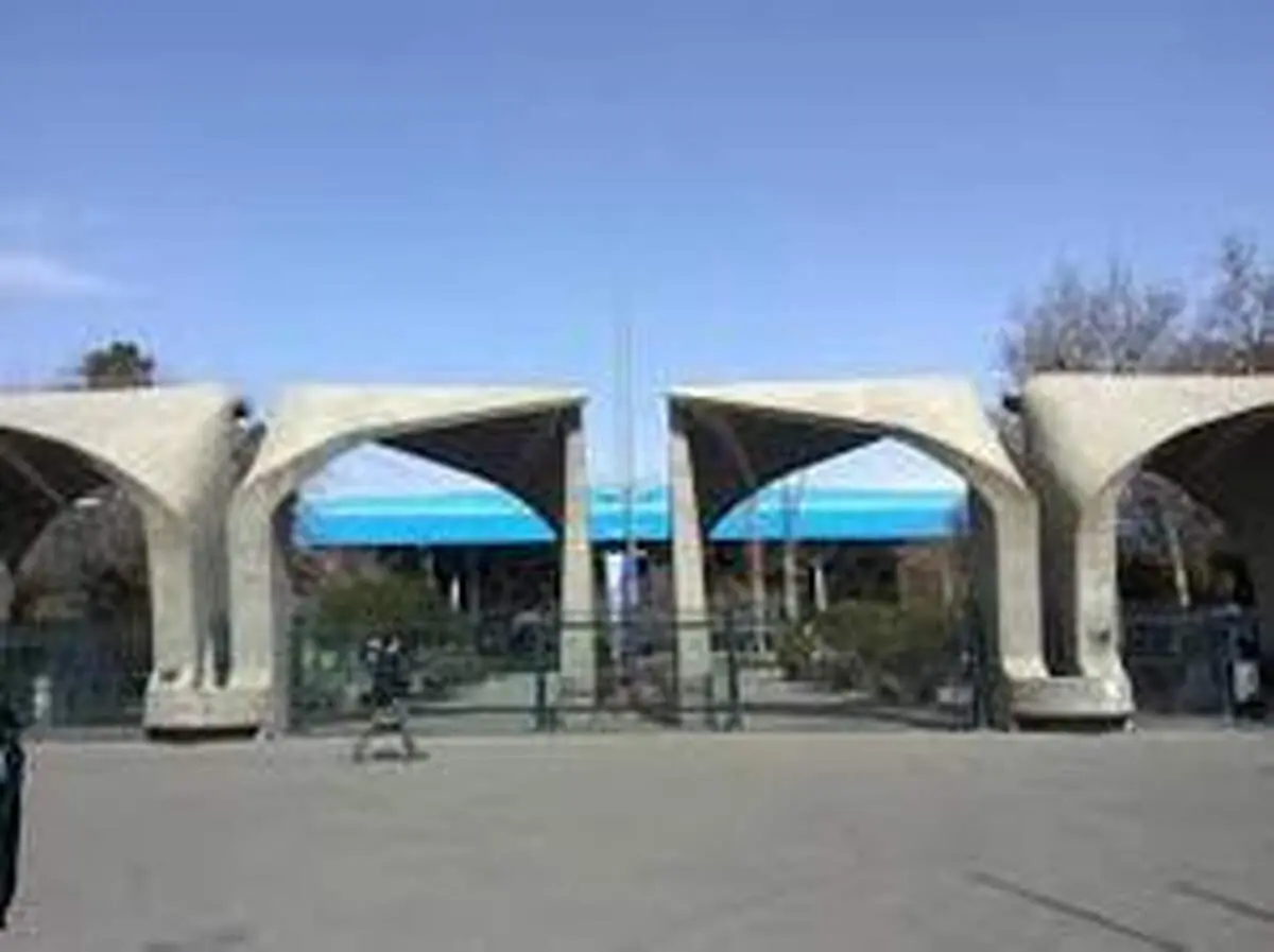 برترین دانشگاه‌های جهان به تفکیک رشته