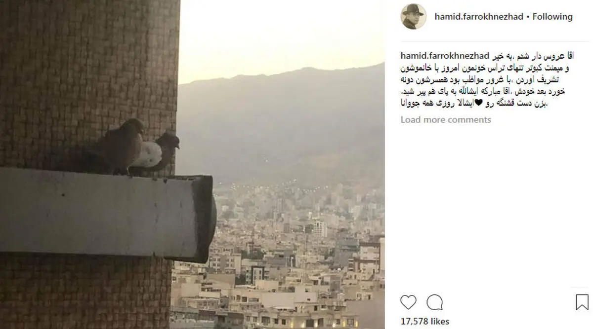 «حمید فرخ نژاد» عروس دار شد +عکس