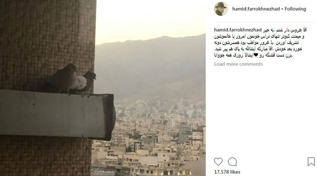 «حمید فرخ نژاد» عروس دار شد +عکس