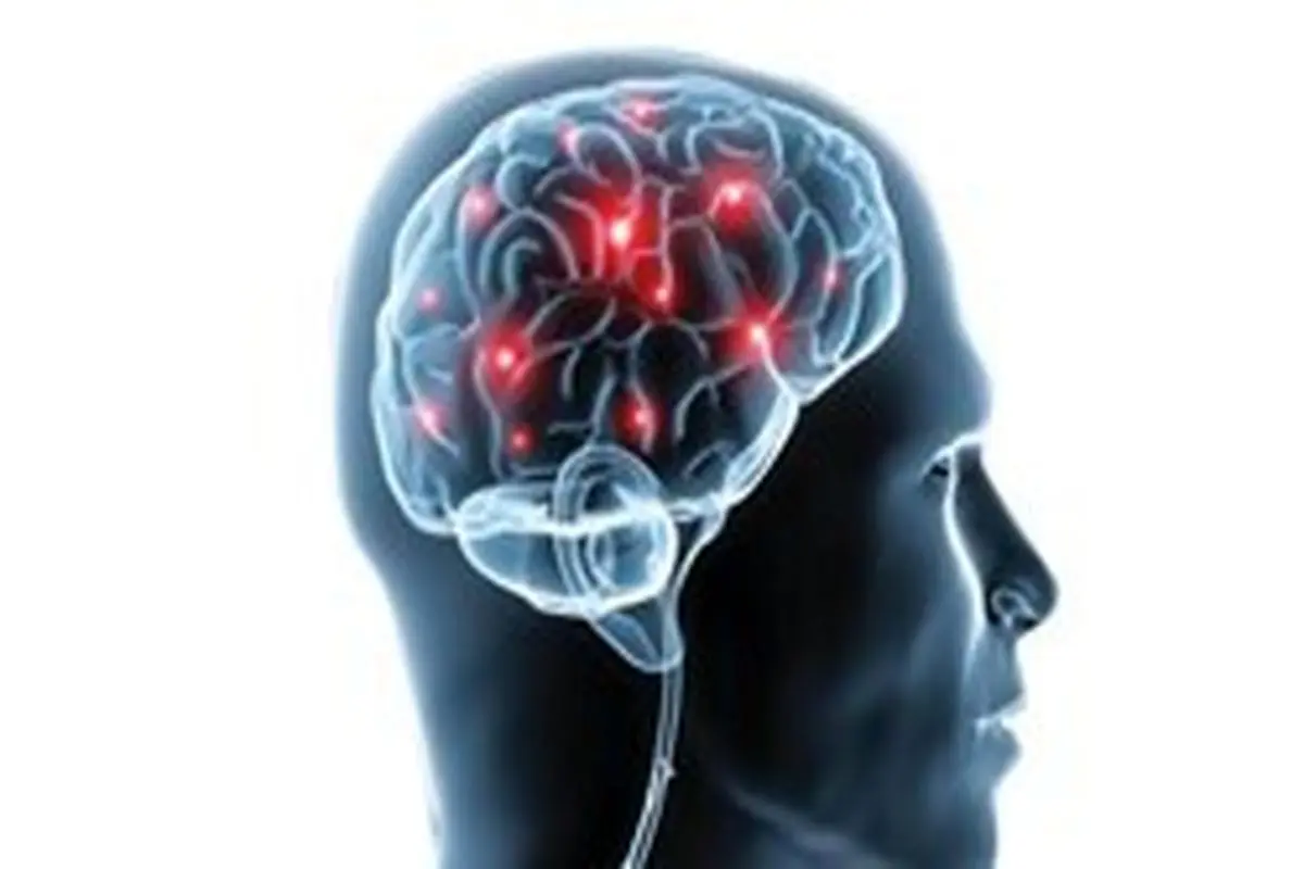 اثرات مصرف «گل» بر سلول‌های مغز