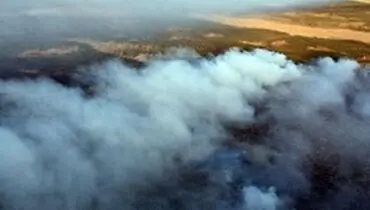 آتش سوزی هورالعظیم ۲۵۰ خوزستانی را روانه بیمارستان کرد