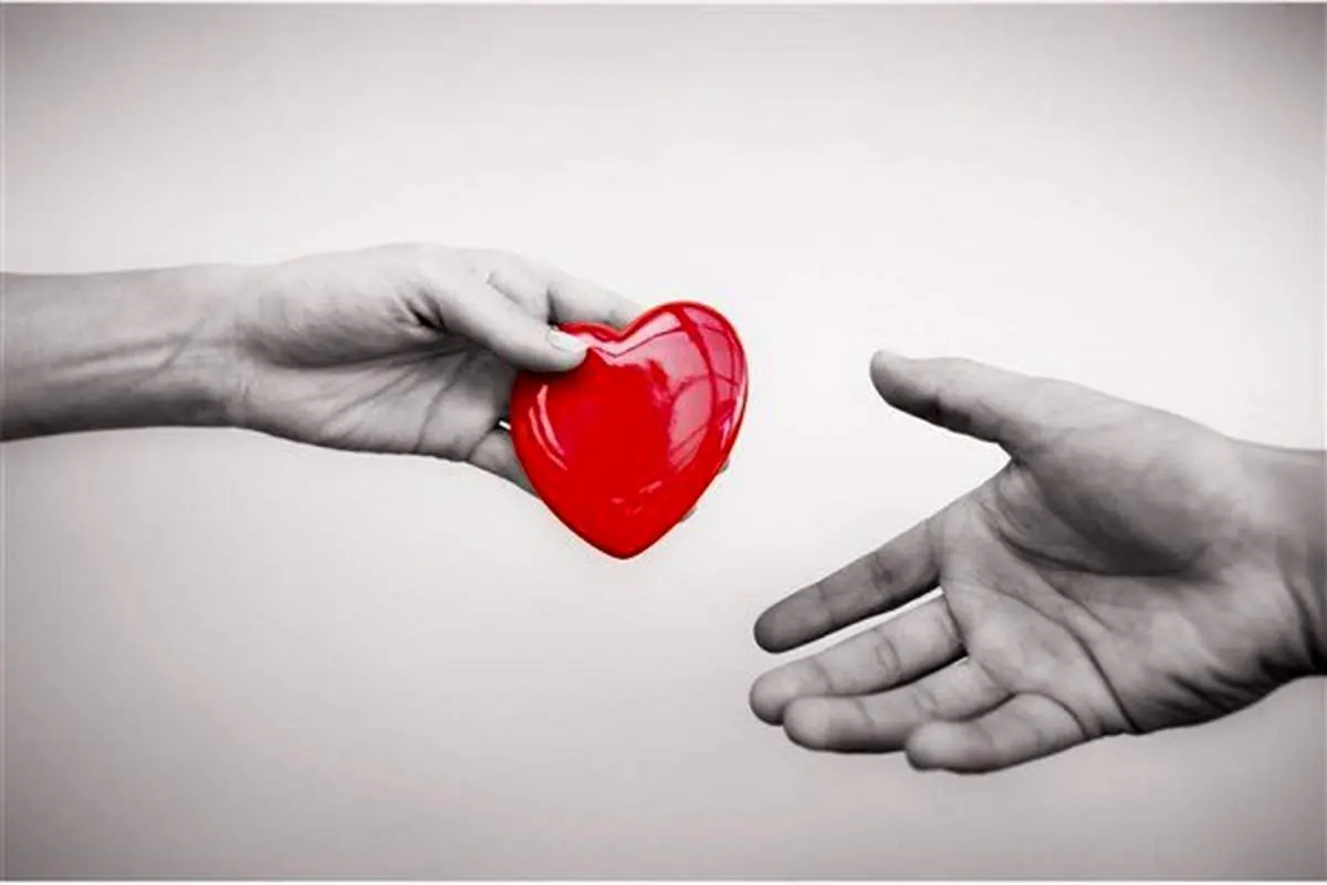 یک چهارم مرگ مغزی شدههای تصادف اهدای عضو می کنند