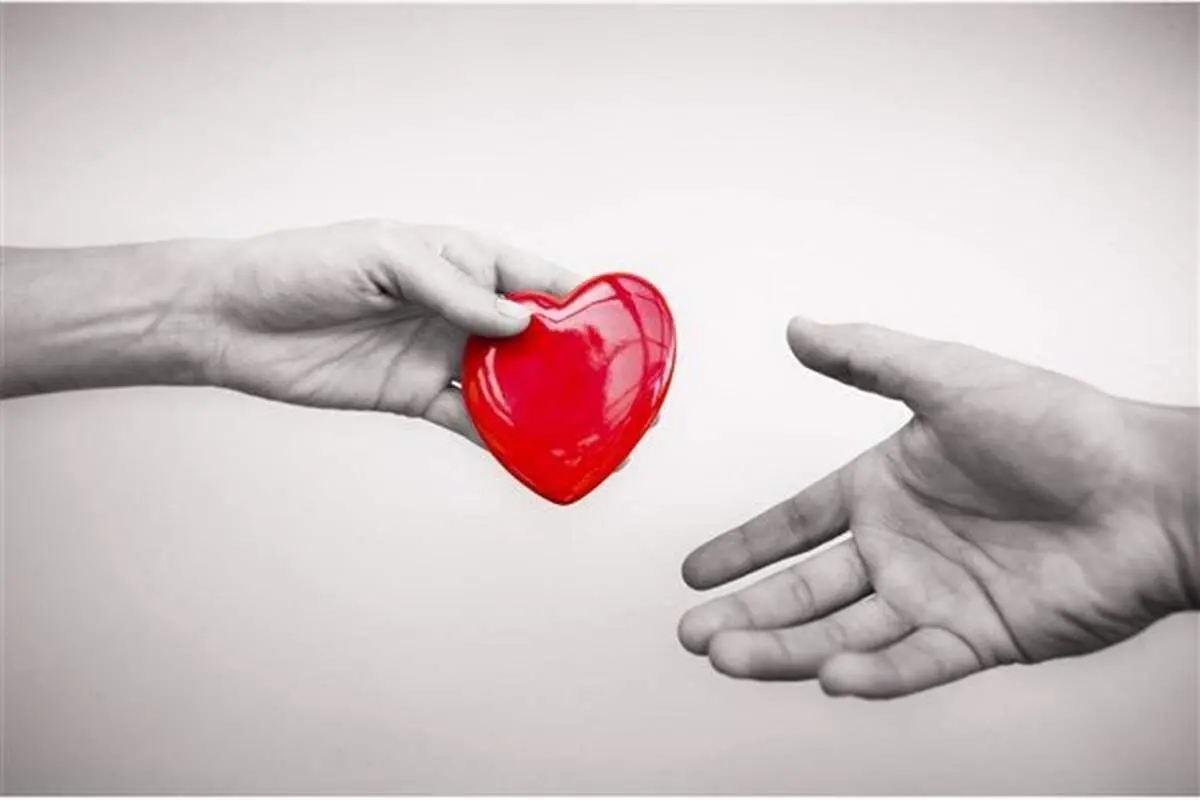 یک چهارم مرگ مغزی شده‌های تصادف اهدای عضو می کنند