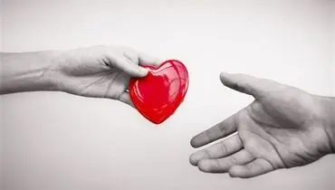 یک چهارم مرگ مغزی شده‌های تصادف اهدای عضو می کنند