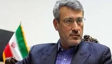 روایت «بعیدی‌نژاد» از اقدام ضد ایرانی سفرای آمریکا