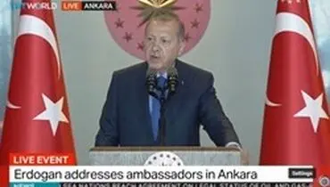 اردوغان اخلالگران بازار ارز را «خائن» خواند