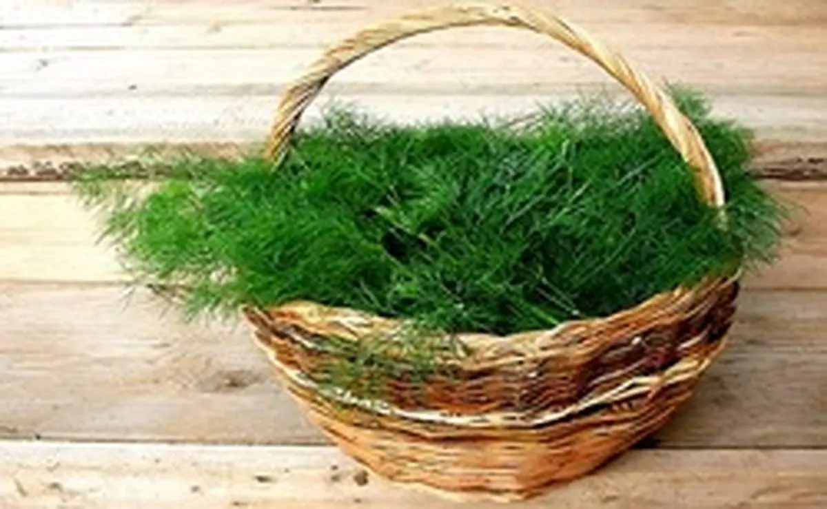 مهمترین خواص شربت هفت عرق