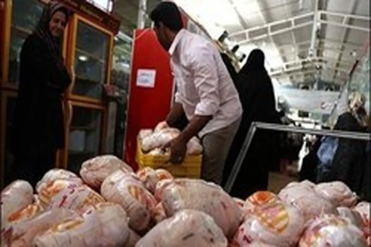 علت افزایش قیمت مرغ چیست؟