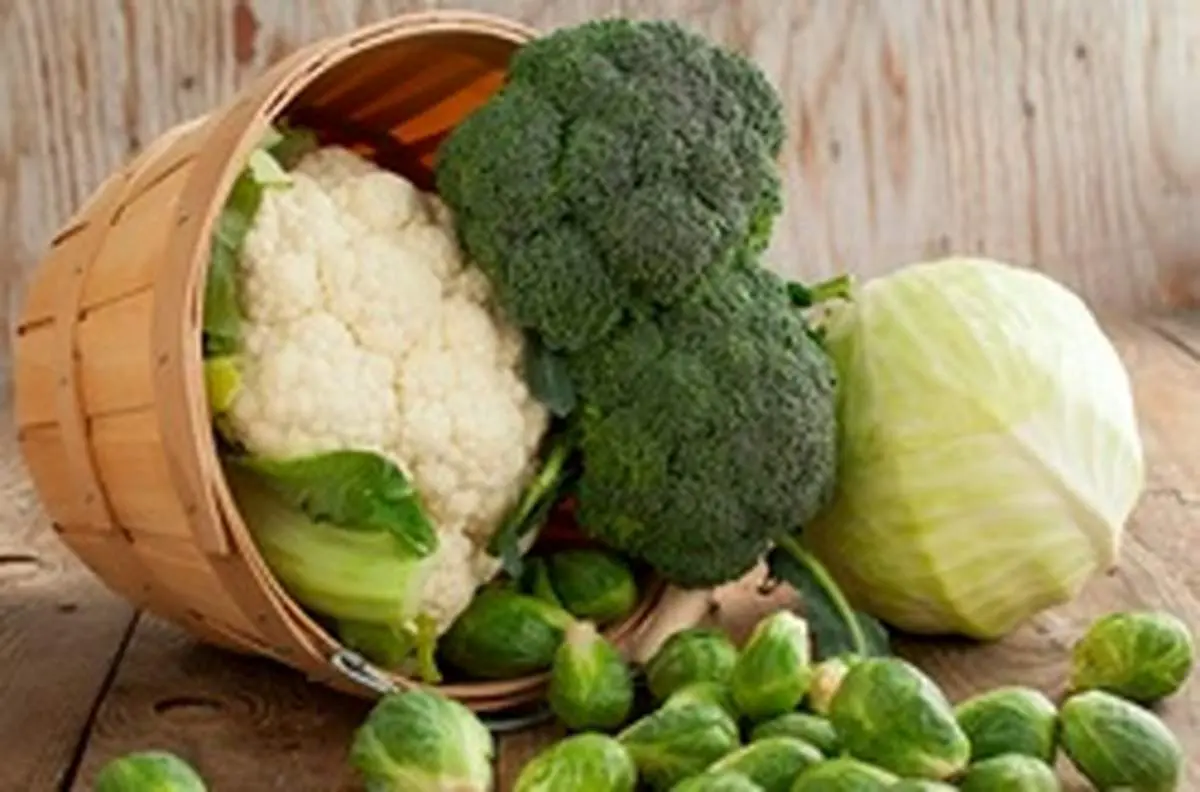کلم چه خواصی برای سلامتی دارد؟