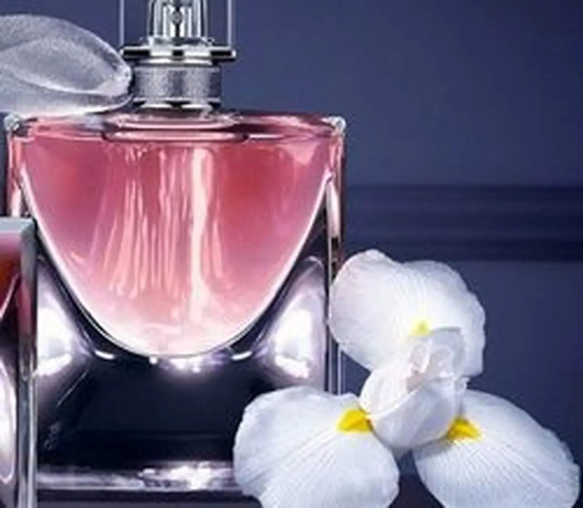 بوی عطر را ماندگارتر کنید