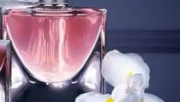 بوی عطر را ماندگارتر کنید