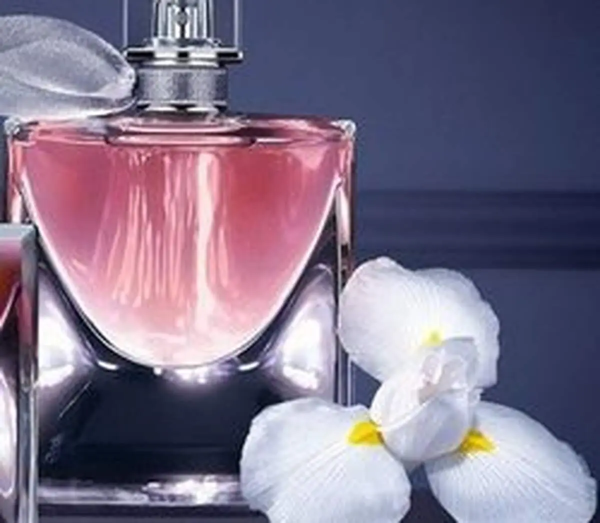 بوی عطر را ماندگارتر کنید