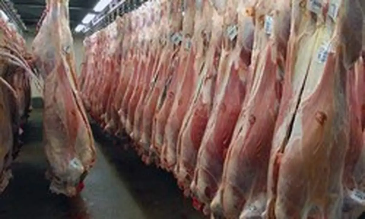 احتکارکنندگان ۹.۵ تن گوشت مرغ و گاو دستگیر شدند