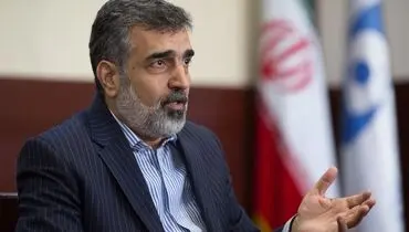 اول نتیجه کار اروپا را می‌بینیم، بعد تصمیم می‌گیریم/ ممکن است ازتعهدات برجامی بکاهیم